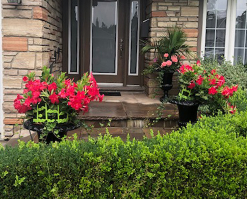 Curb Appeal Landscape