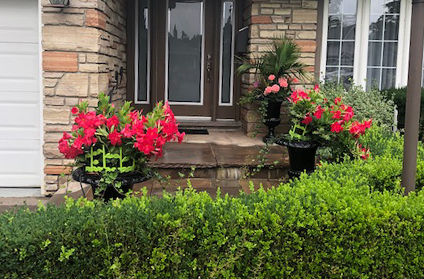 Curb Appeal Landscape