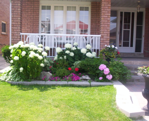 Curb Appeal Services