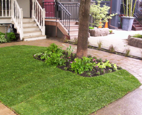 Curb Appeal Toronto
