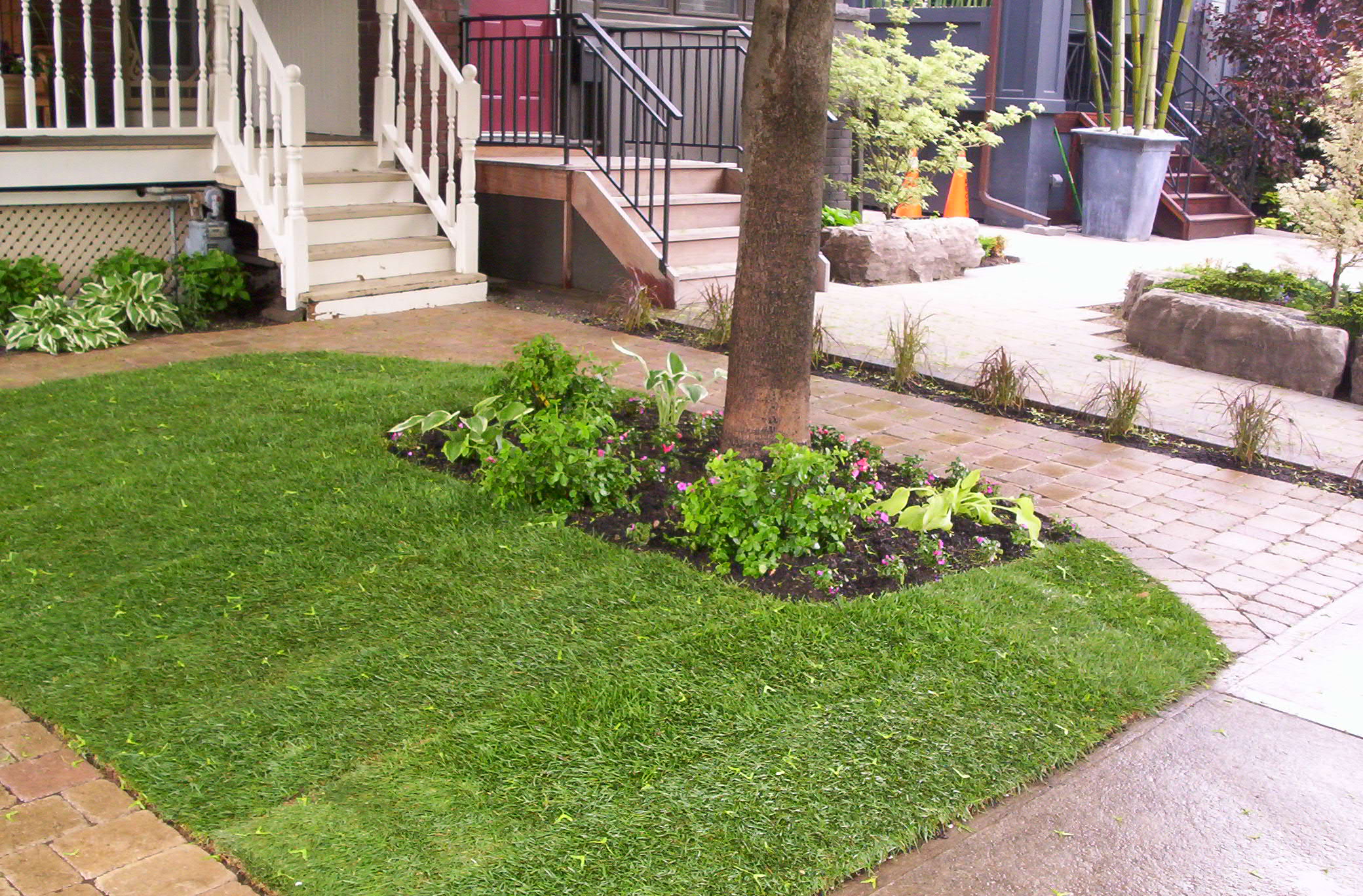 Curb Appeal Toronto